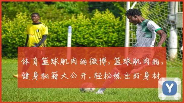 体育篮球肌肉狗微博,篮球肌肉狗,健身秘籍大公开,轻松练出好身材