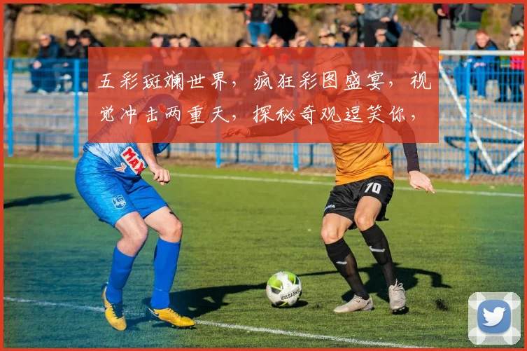 五彩斑斓世界，疯狂彩图盛宴，视觉冲击两重天，探秘奇观逗笑你，惊艳眼球逗逗乐。