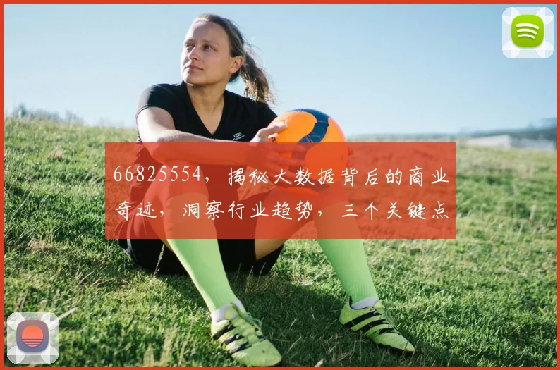 66825554，揭秘大数据背后的商业奇迹，洞察行业趋势，三个关键点，不容错过